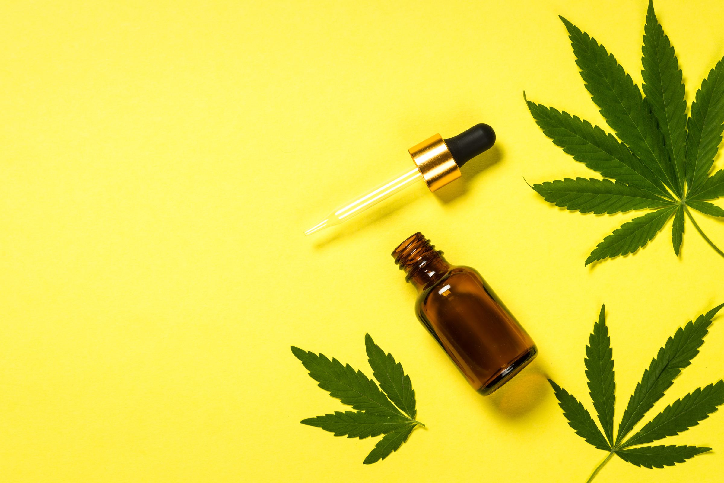 Cannabis Oil and Green Leaves on Yellow Background